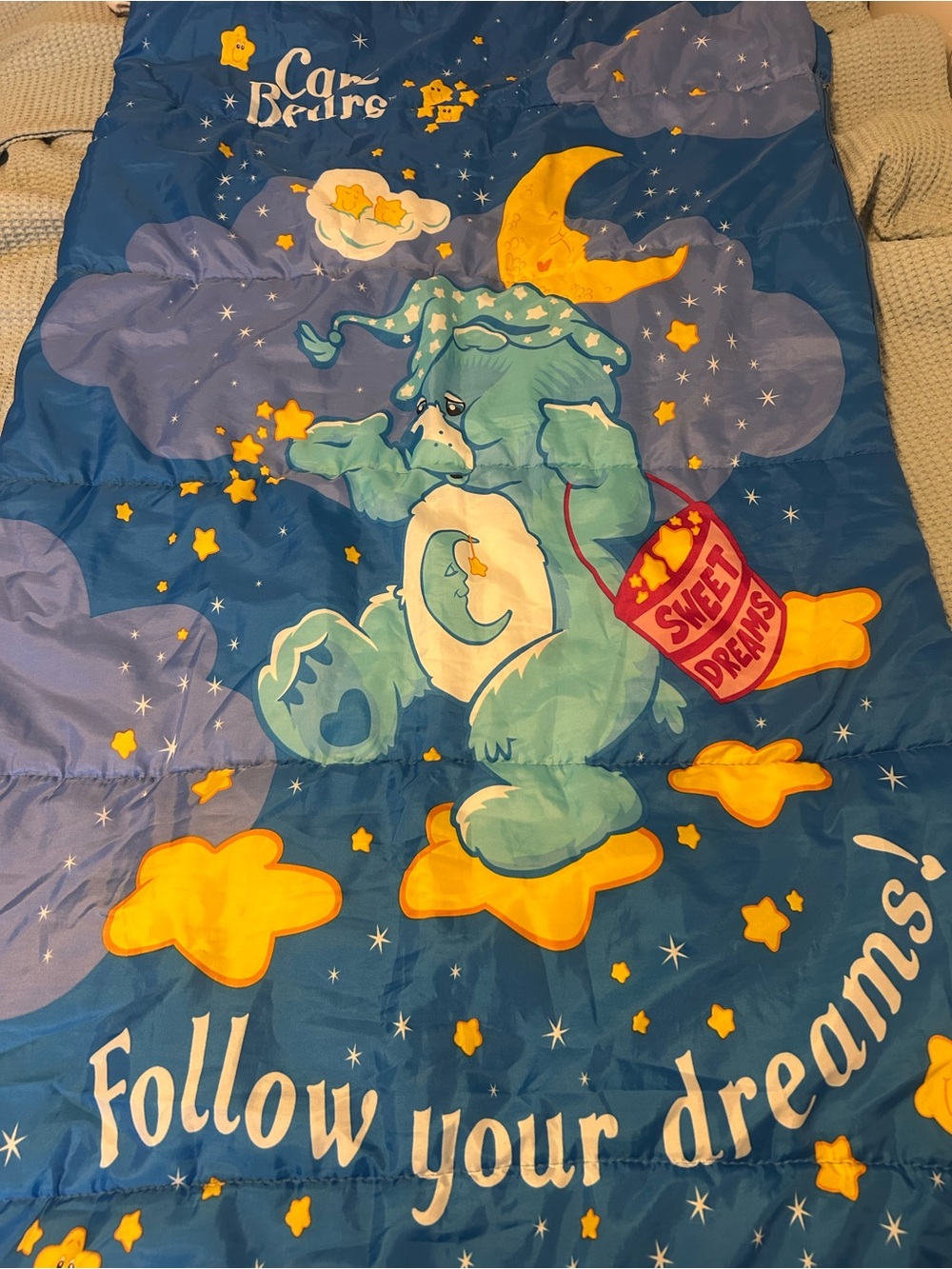 Vintage Kids 2003 Care Bears "Follow Your Dreams" Sleeping Bag EUC